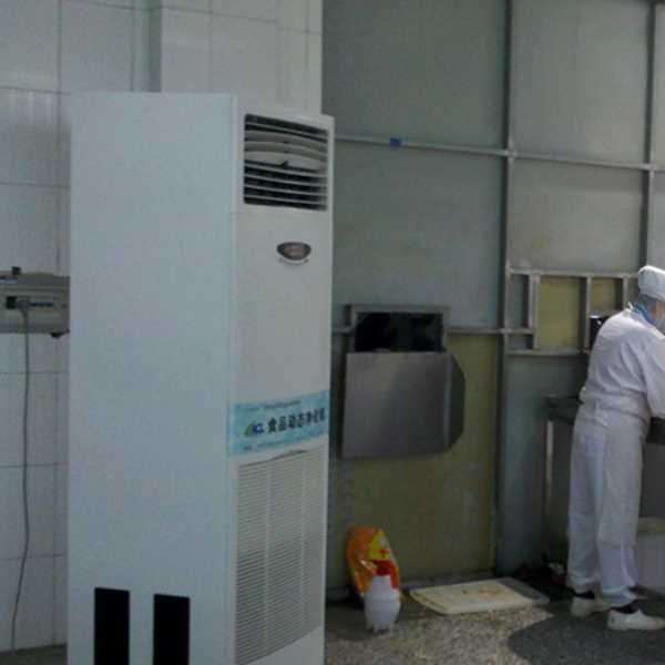 嘉兴食品正负离子空气杀菌器